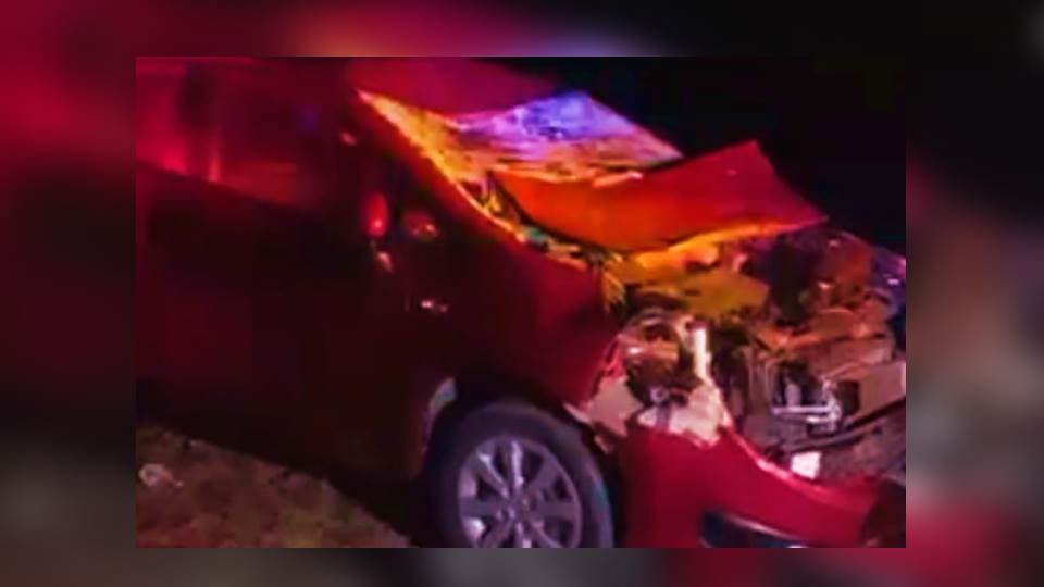 Choca auto contra una vaca; familia se salva