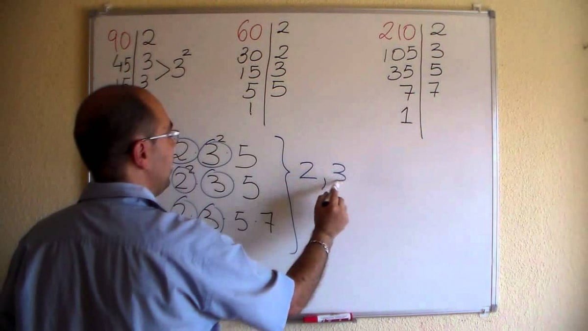 Maestros de nivel básico deberán actualizarse en Matemáticas