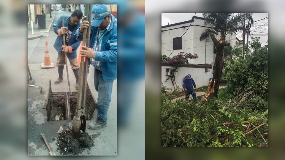 Atienden afectaciones causadas por la tormenta en Nuevo Laredo
