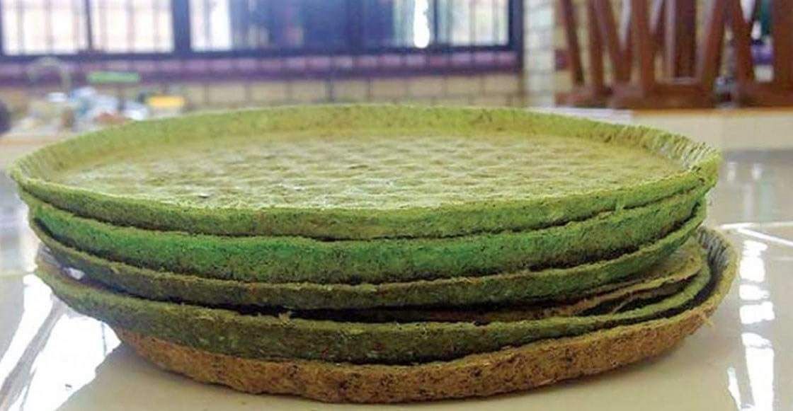 Ingenio Reynosense, crean plato desechable de nopal