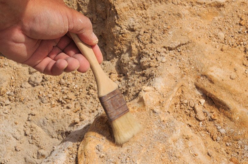 Tres mil piezas arqueológicas y 400 entierros han sido encontrados en el puerto de Altamira