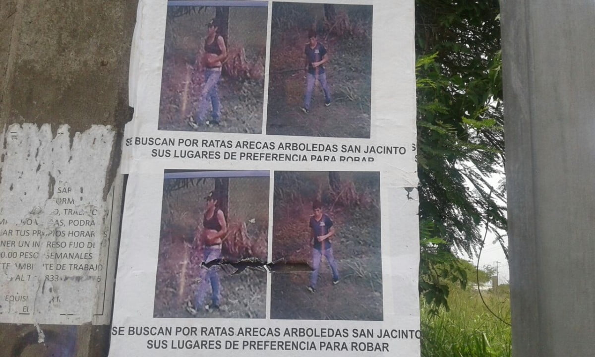 Exhiben imágenes de ladrones domiciliarios en Altamira