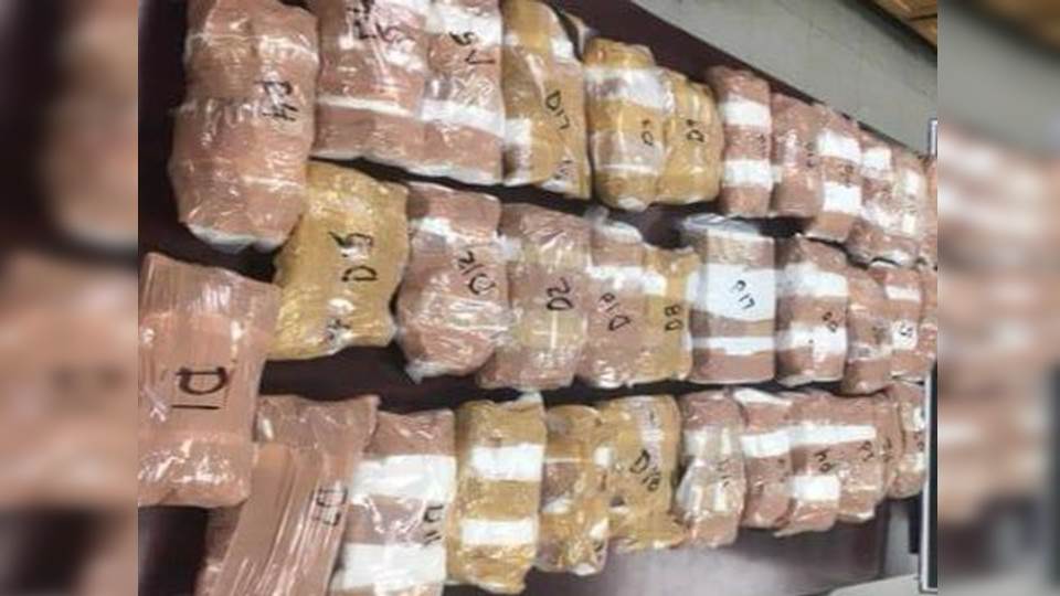 Decomisan cargamento de droga con valor de un millón 500 mil dólares