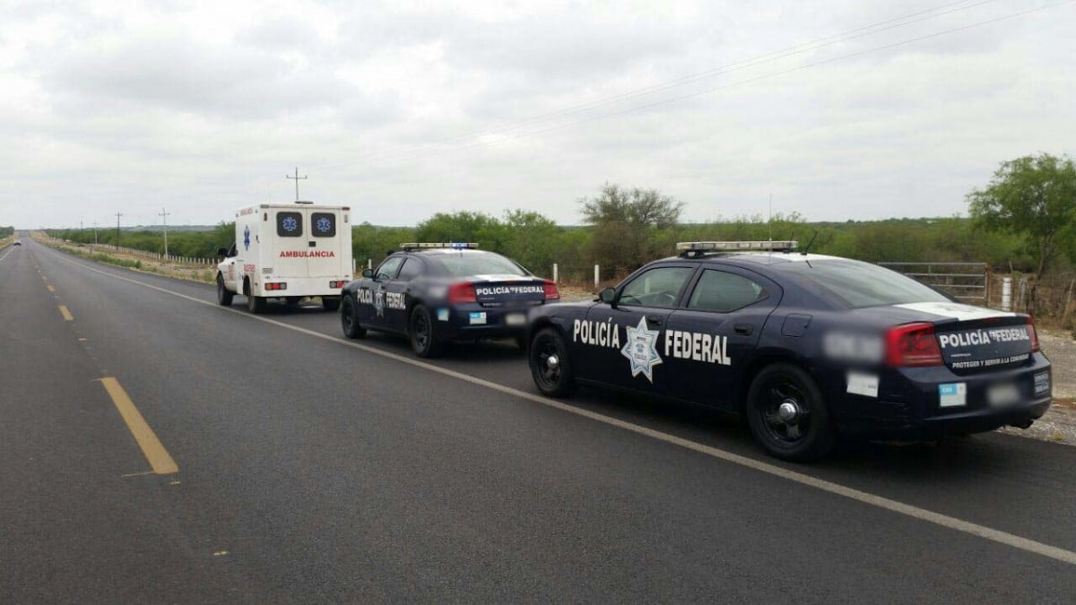 No hay decomiso de autos “chocolate”: Policía Federal
