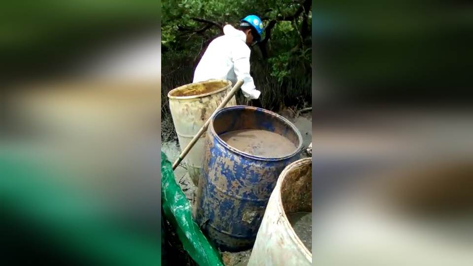 Filtran video de empleados de Transcanada contaminando manglar con bentonita