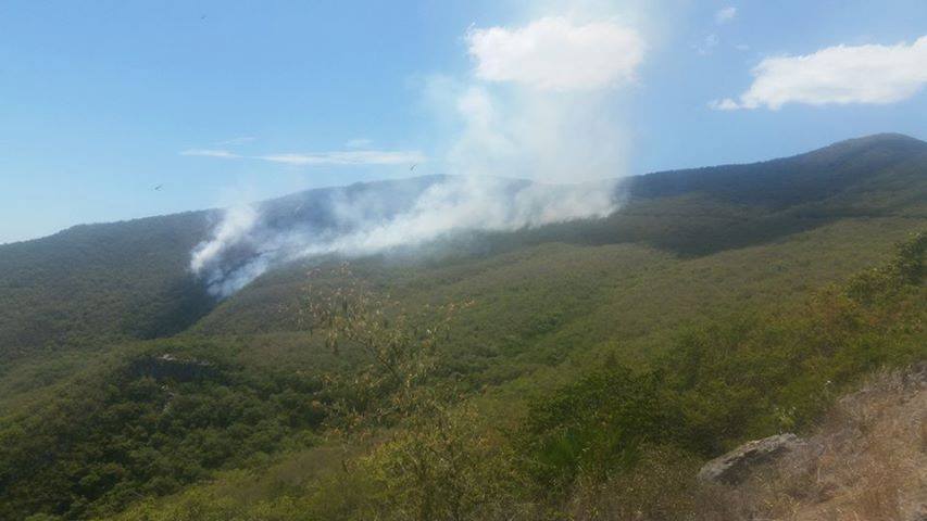 Van 3 hectáreas afectadas por incendio en la sierra en Victoria