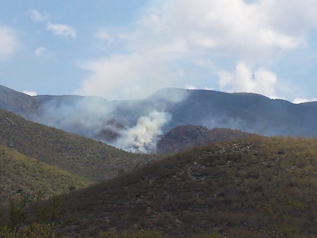 ¡Incendio forestal en Jaumave! se reporta un 50% de control