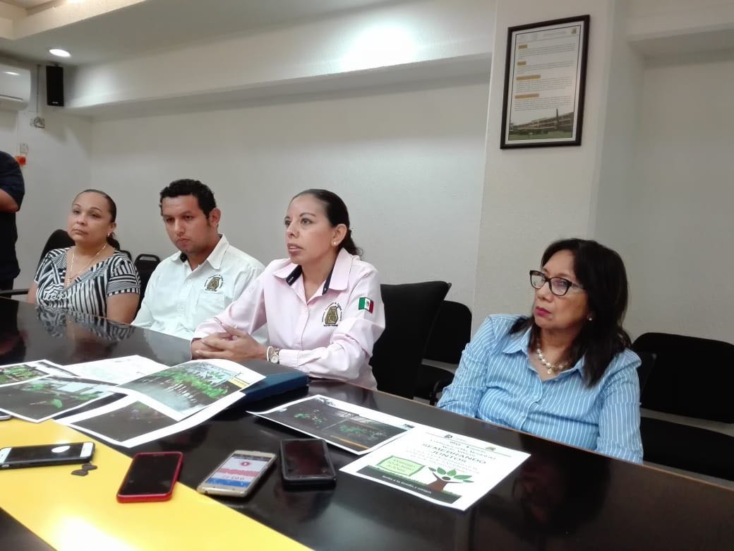 Asegura TEC Madero no cometer ninguna afectación al medio ambiente al talar árboles