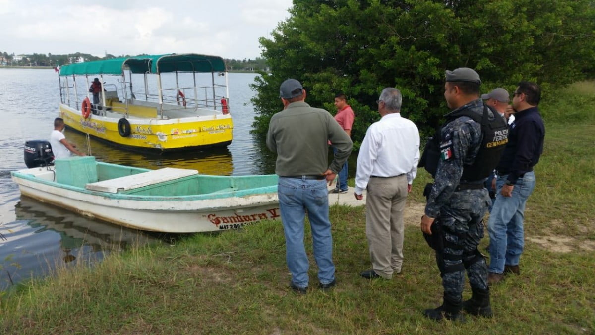 Realiza PROFEPA operativo en Tampico contra la tala ilegal del mangle