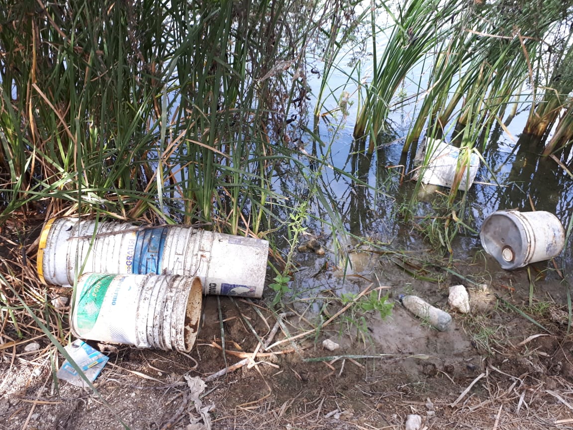 Grasa orgánica y desechos clínicos en sistema lagunar de Reynosa