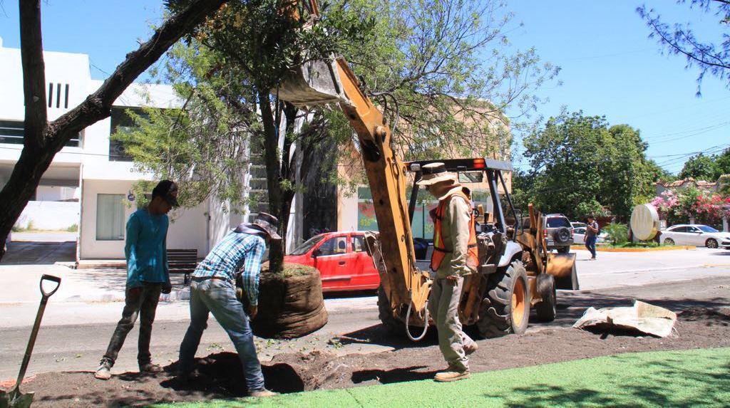 Afirma bióloga que «el 17 será un pulmón para Ciudad Victoria»