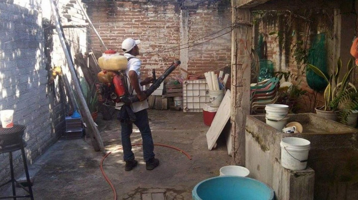 Disminuyen casos de dengue, zika y chikungunya en Tamaulipas