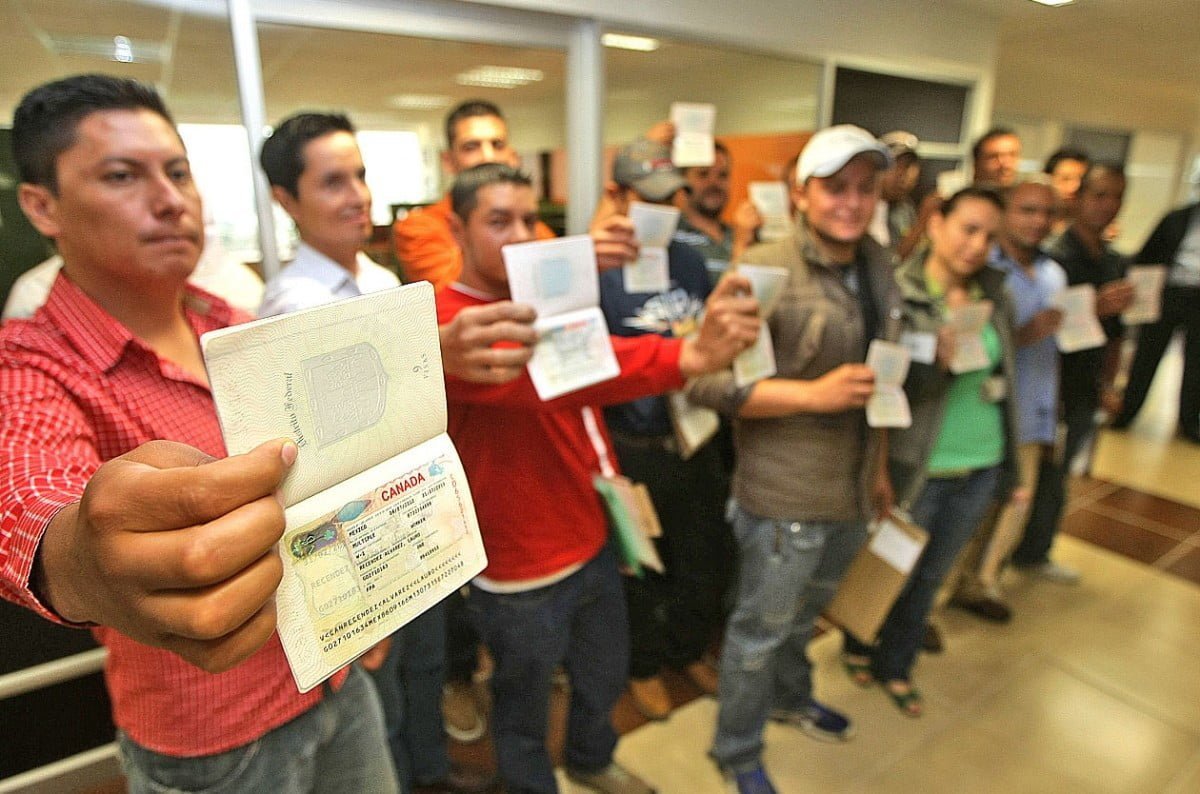Ofertan empleo para tamaulipecos en Canadá