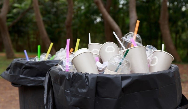 Avalan diputados dejar de promover uso de popotes para bebidas