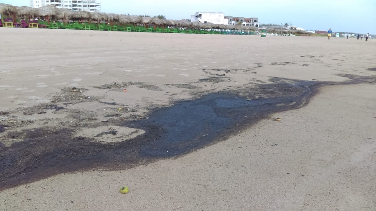 Realizan labores de limpieza en playa Miramar tras encontrar residuos de chapapote