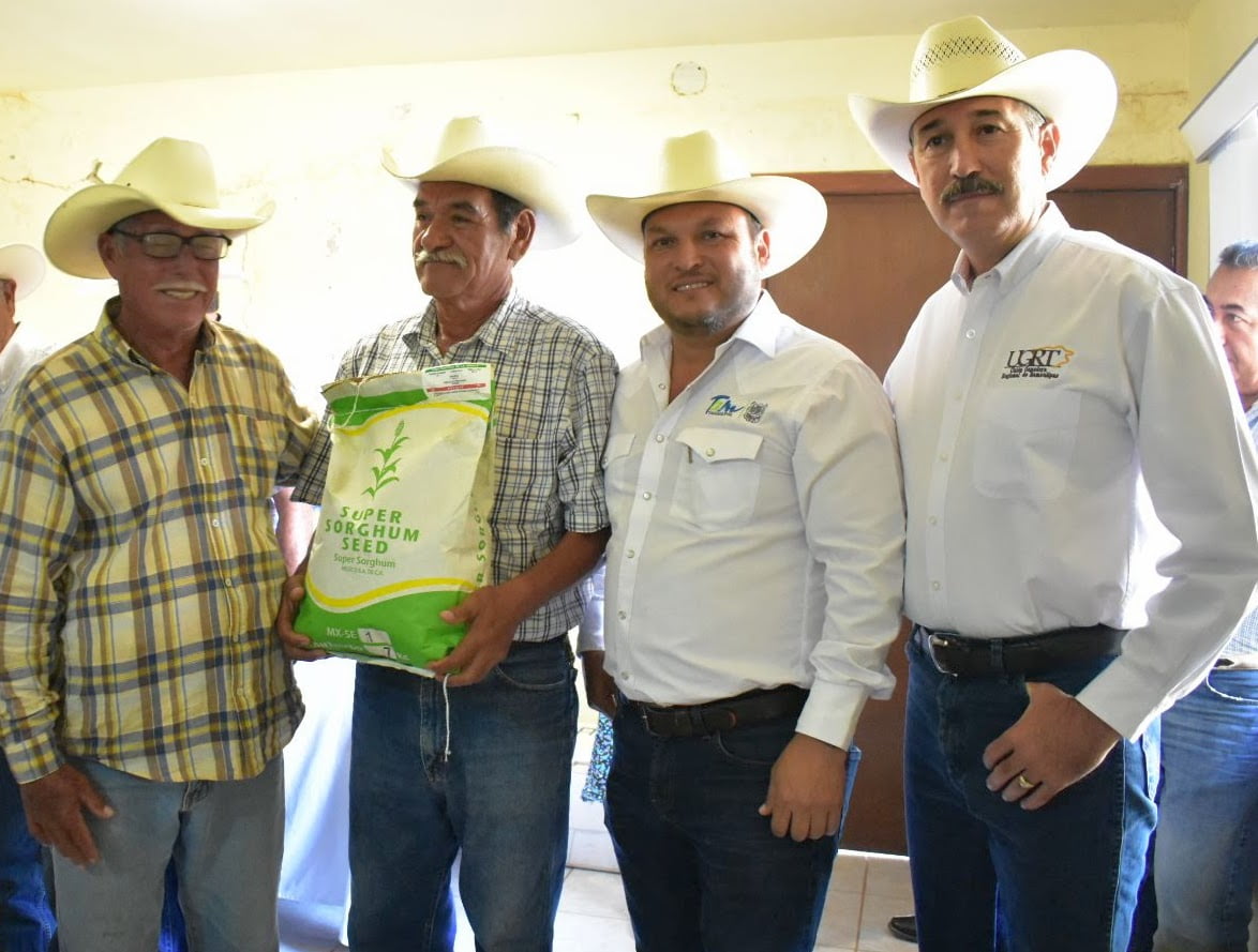 Agricultores recibieron 11.7 toneladas de semilla de súper sorgo