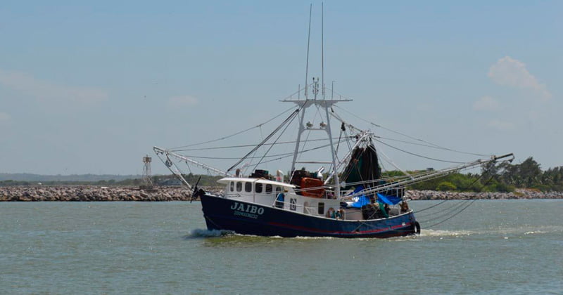 Termina veda de camarón, barcos zarpan este domingo