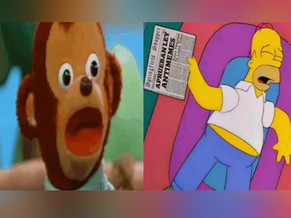 Aprueban ‘Ley Antimemes’ en Veracruz; crea polémica en redes