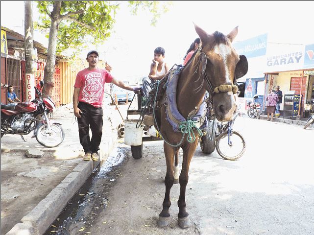 Carretoneros piratas maltratan a sus animales y contaminan lagunas con basura