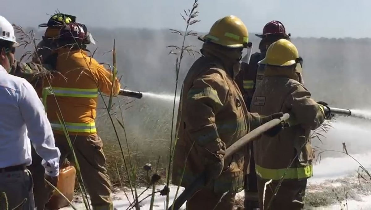 Realizan simulacro por derrame de hidrocarburo con incendio en Victoria