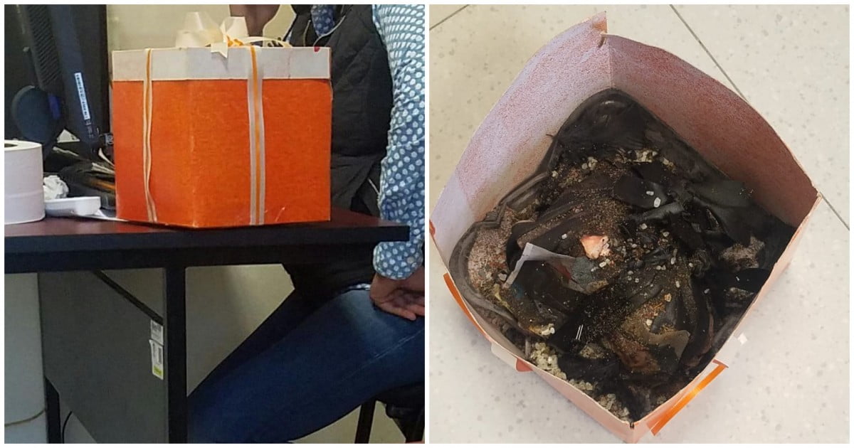 ¿Brujería en ayuntamiento de Altamira? Reciben caja de regalo con animales muertos