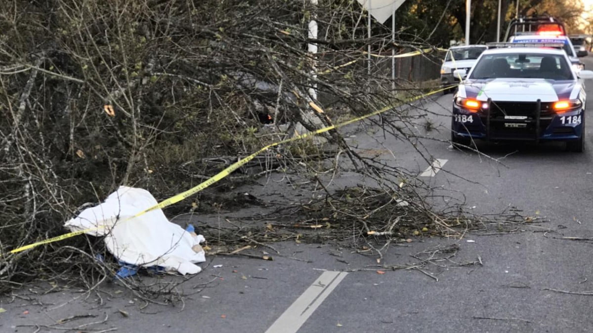 Muere pizcador en la Victoria-Monterrey, auto fantasma lo habría arrollado