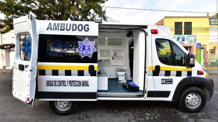 Por fin, México tiene su primera ambulancia para atender animales maltratados o atropellados.