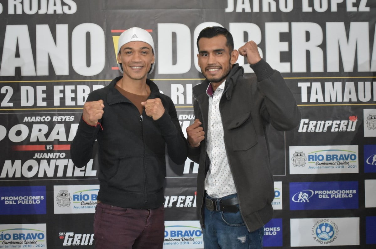 Se enfrentarán «El Gusano» y «El Doberman» por el Campeonato Internacional de WBC