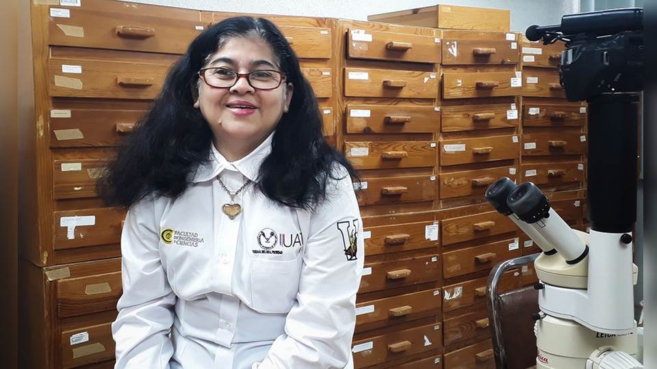 Reconocen a entomóloga de la UAT a nivel nacional