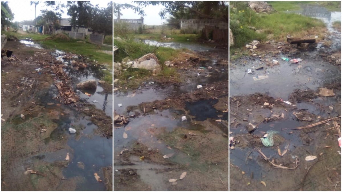 Viven entre aguas negras familias de Lomas de Altamira