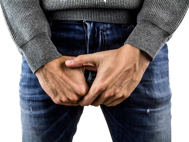 Desarrollo del pene necesita más que testículos y testosterona: estudio