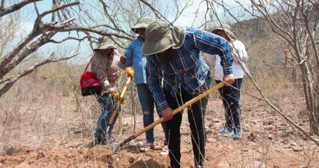 Rastreadoras encuentran 11 cuerpos en fosas clandestinas de Mazatlán