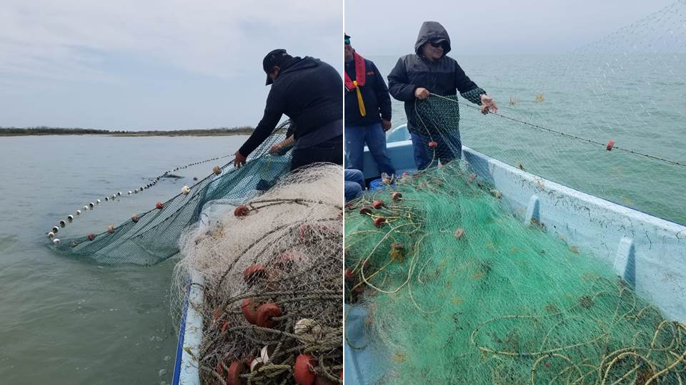 Decomisan instrumentos de pesca ilegal en la Laguna Madre de Matamoros