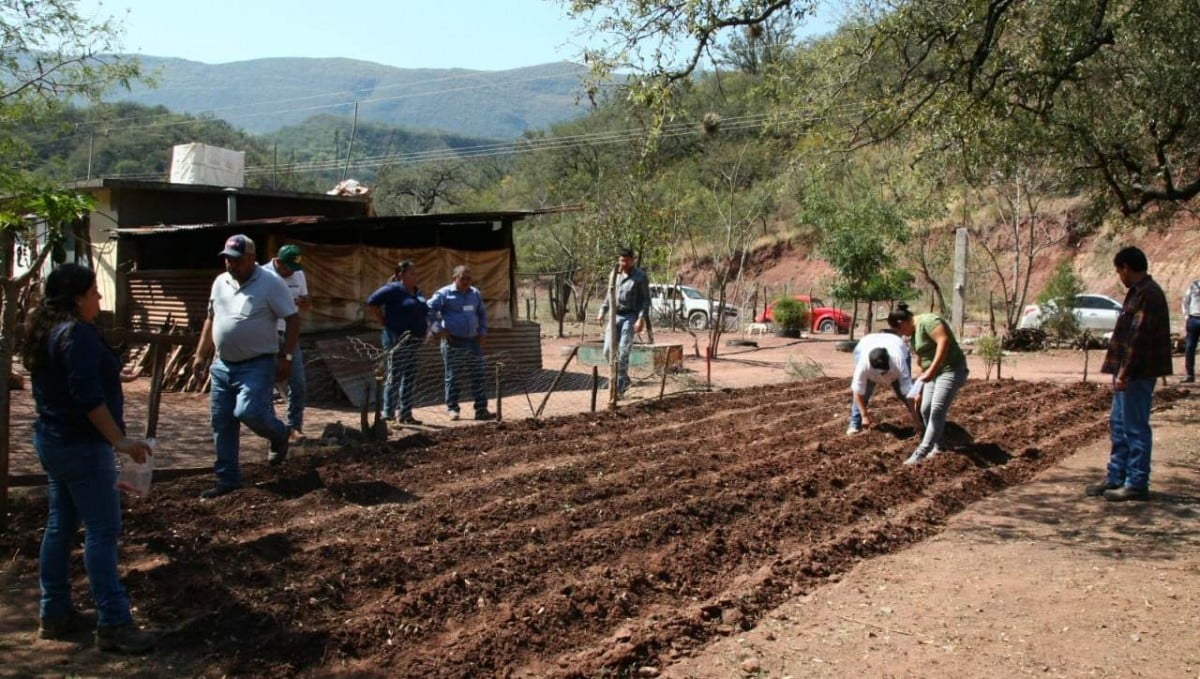 Promueve Ayuntamiento huertos familiares en ejidos de Victoria