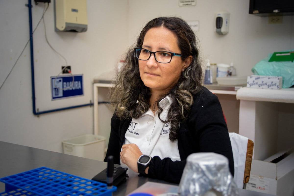 Buscan prevenir enfermedades que afectan la reproducción de cabras