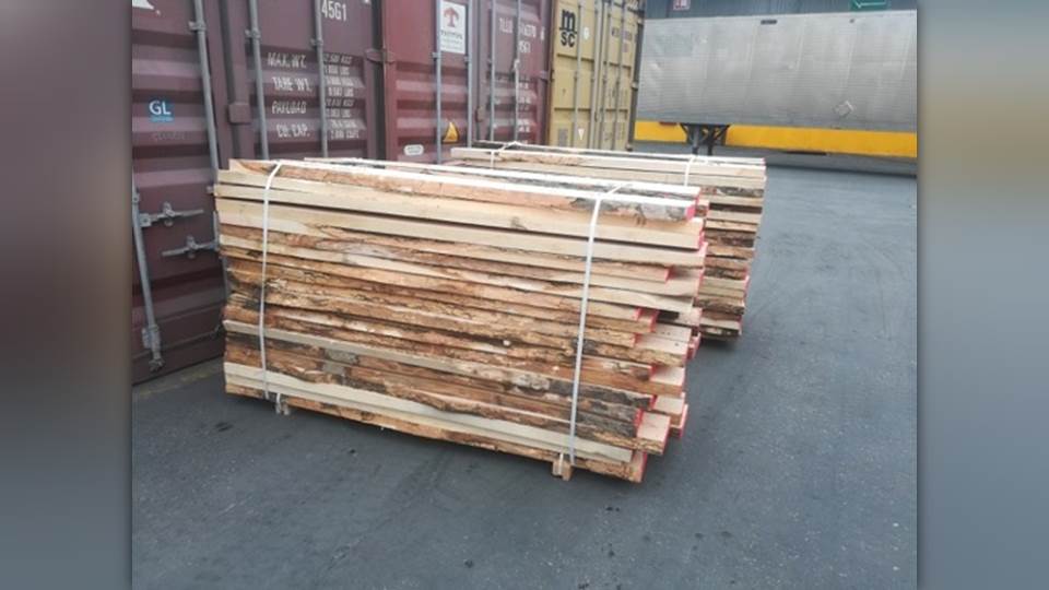 PROFEPA regresa a Croacia más de 149 m3 de madera por incumplimiento de las normas