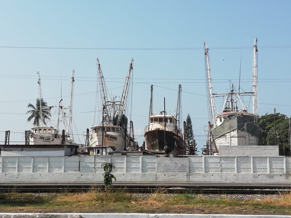 Paralización de flotilla de barcos camaroneros afecta a más de 10 mil familias