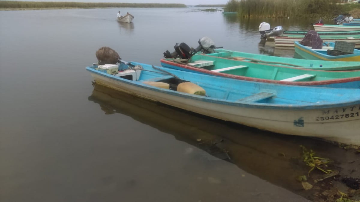 Alarma descenso del nivel en la laguna de Champayán; pescadores entrarán en crisis