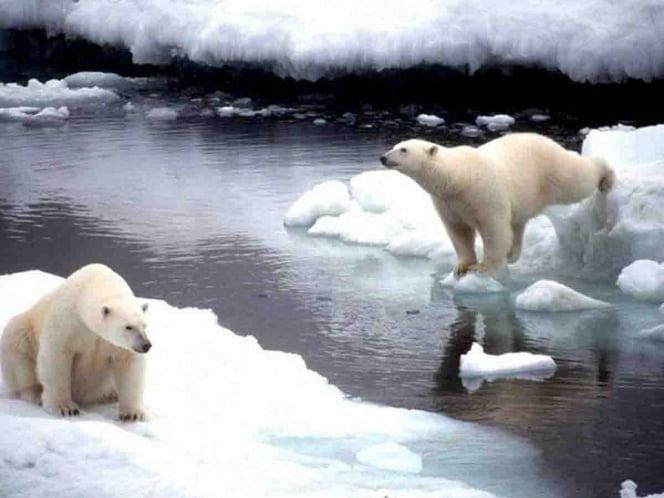 Hielo del Ártico se derrite a ritmo alarmante, revela estudio