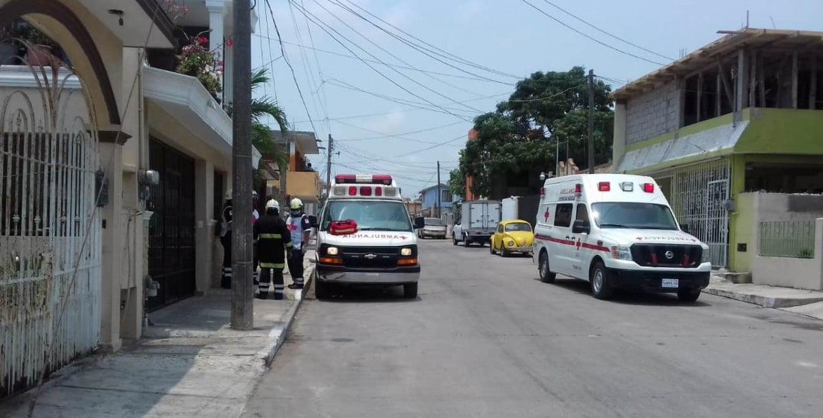 Abejas atacan a 15; cinco son trasladados al hospital al resultar alérgicos