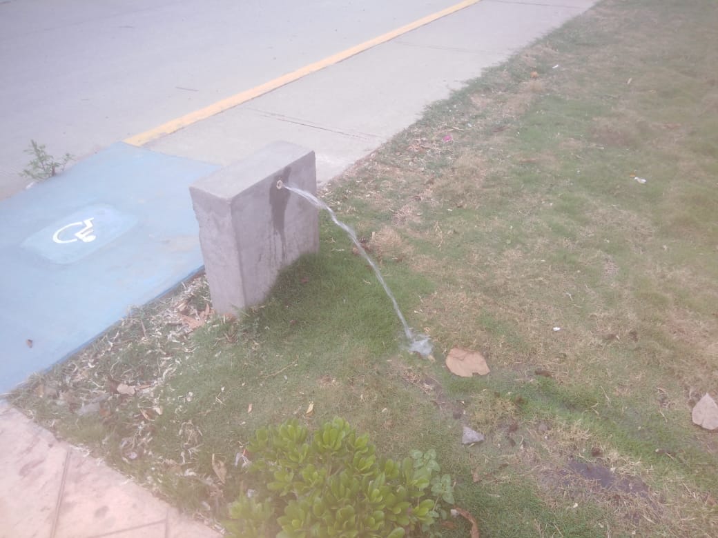 Mientras la ciudadanía batalla por agua, en parque de Altamira la desperdician