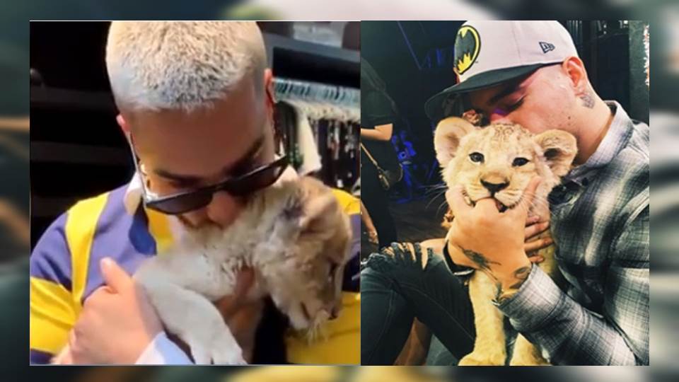 Maluma cierra su Instagram tras ser acusado de maltrato animal