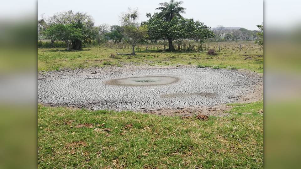 Funcionario federal de Desarrollo Rural minimiza problema de sequía en Altamira