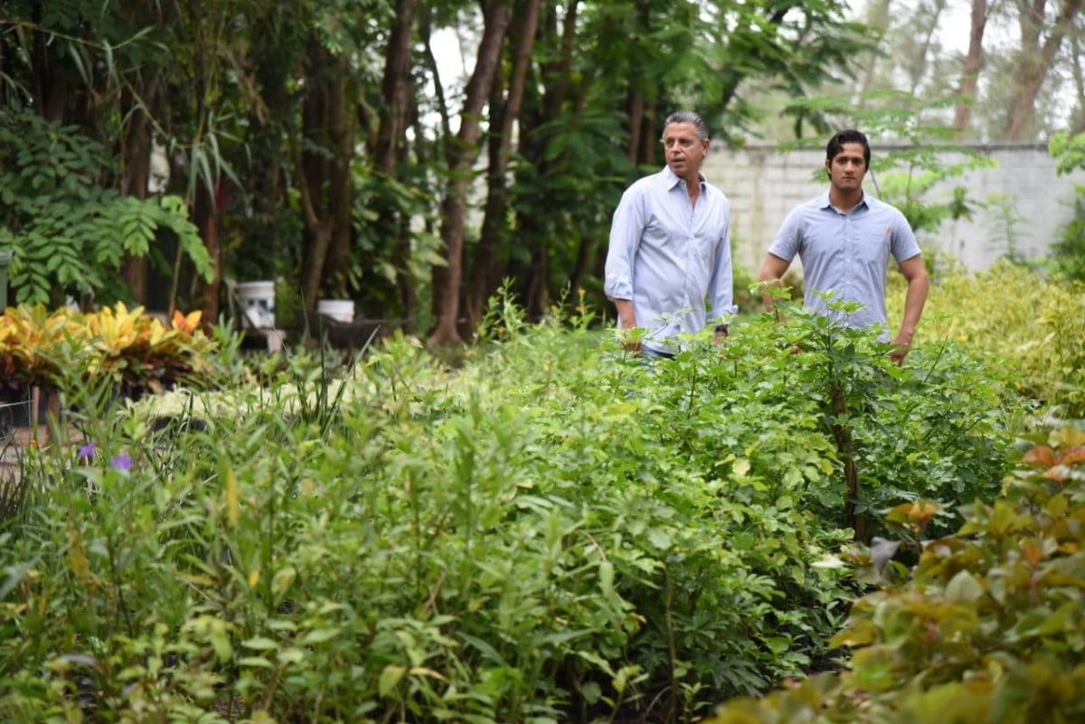 Mejorarán la Imagen de Plazas  Parques y Avenidas de Tampico