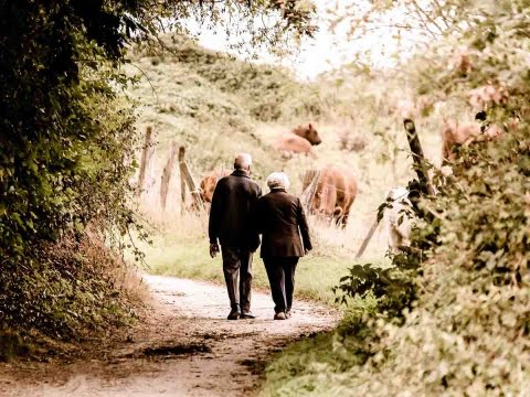 Cachan a seis abuelitos teniendo sexo en un bosque de EU