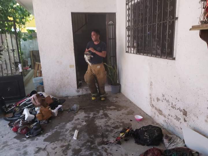 Bomberos de Altamira rescatan a perritos atrapados en incendio de una vivienda