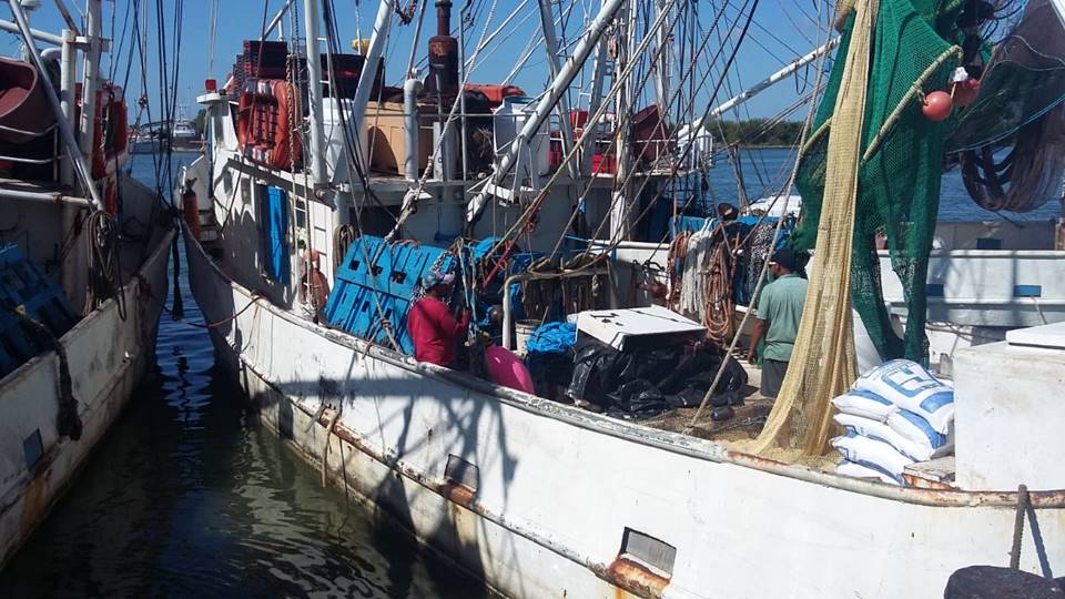 Insuficiente el subsidio al diésel marino que otorga la Federación a armadores