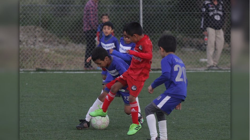 Preparan creación de Copa UAT en Matamoros y Nuevo Laredo