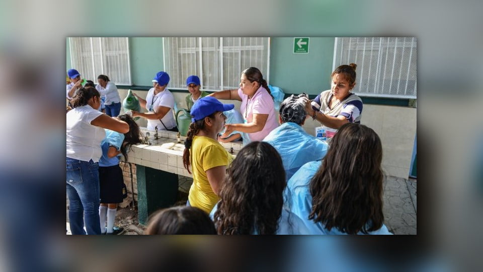 Adquiere Estado 20 mil tratamientos contra pediculosis ante inicio de una nueva temporada escolar