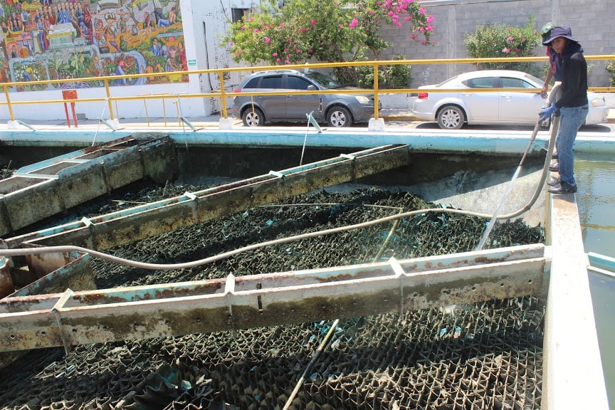 Suspende COMAPA servicio de agua por cambio de válvula en Nuevo Laredo
